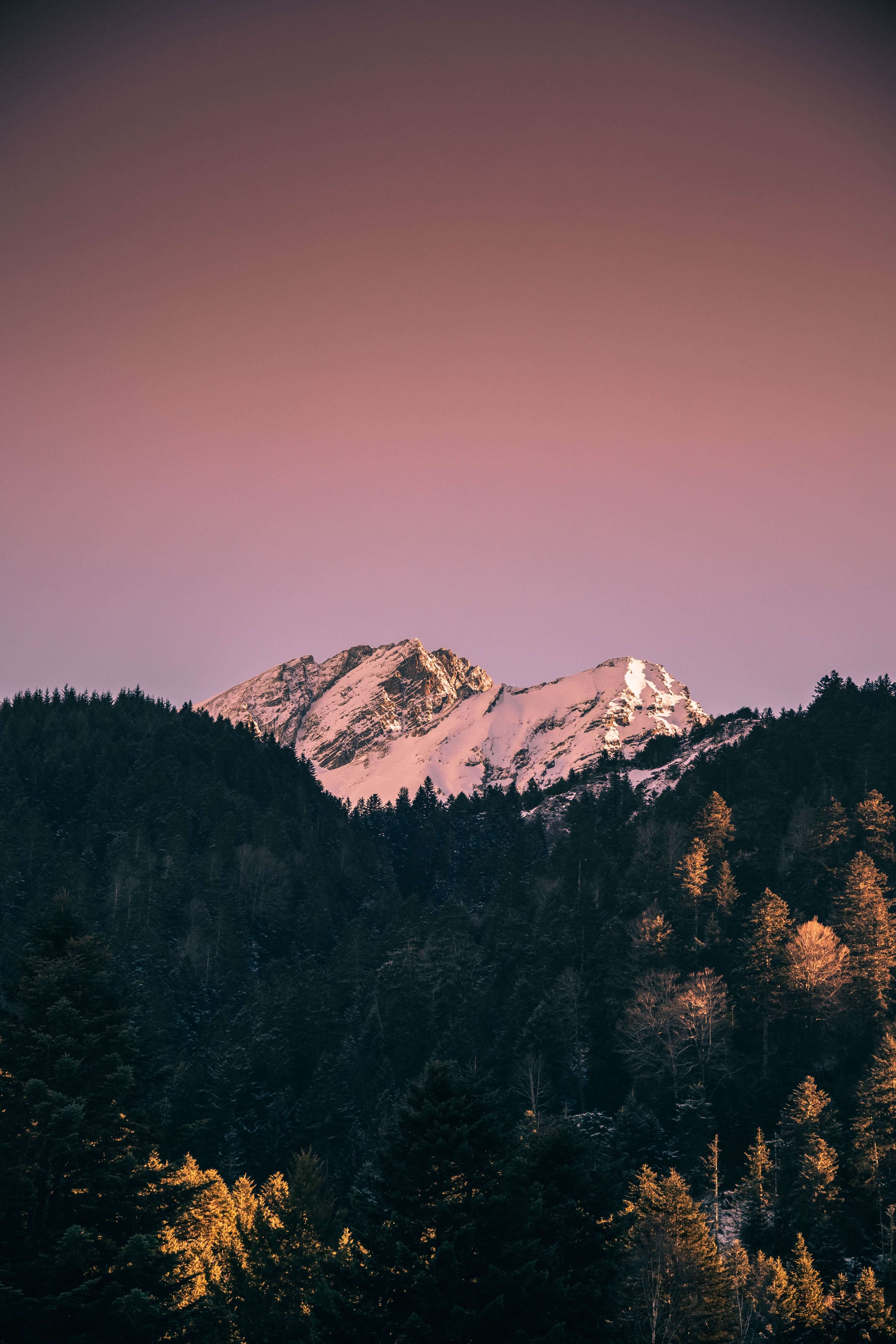 scenary